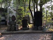 chaka����̐[��͎��̔�̓��e�ʐ^1