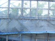 kenken̈όuhE̓eʐ^1