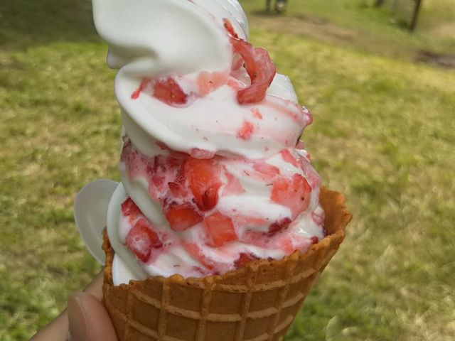 ^Jg~|̎Rc񂿂̖q@~N̗@~NvgEACXH[̓eʐ^1