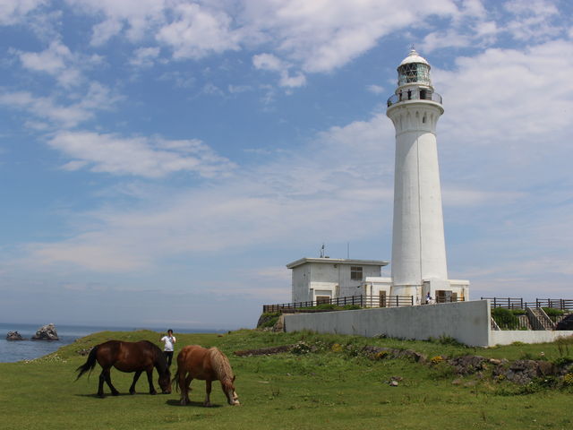 ��Ȃǂ͖����̂Ŋ����n�ɐg�߂Ɍ���܂�_�K����