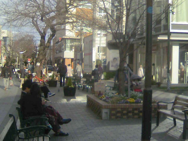 w쑤̒ʂ̃x`_}dSRuwiE䒬j