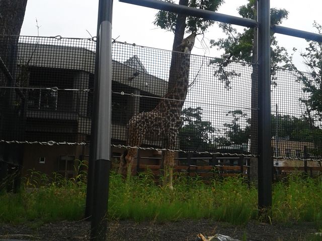 �L����_�~�R������