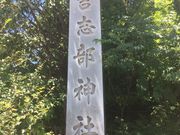 �Ƃ����񂳂�̋g�u���_�Ђ̓��e�ʐ^3