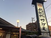 farañTK~ΐؓX̓eʐ^1