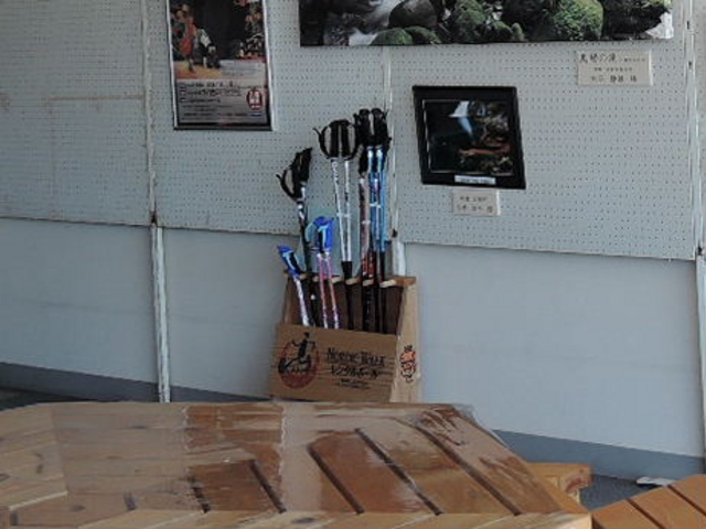 �m���f�B�b�N�|�[���̖����݂��o��_�O�������������z�[��