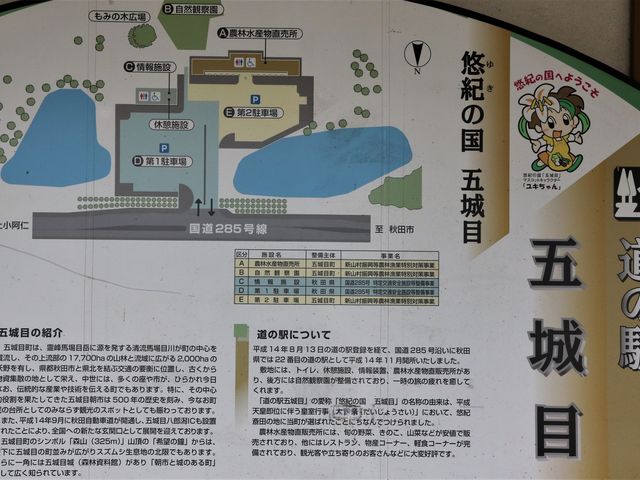 ē}_̉w ܏ځiII̍܏ځj