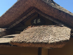 ݂񂳂̒يtւ̓eʐ^1