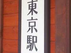 �ۂ������[�����SL�����w���X�ւ̓��e�ʐ^1