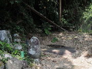 tos����̐Β˔p���Ղ̓��e�ʐ^1