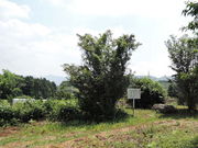 tos����̓���J�p���Ղ̓��e�ʐ^1