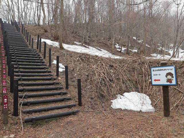 ����_���{��̃Y���R�K�i