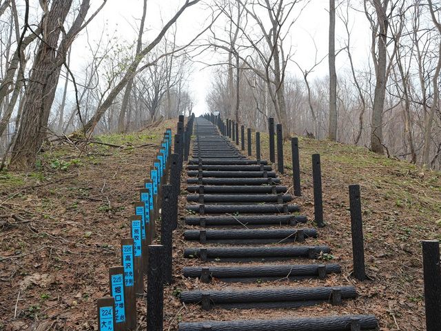 �K�i�r��_���{��̃Y���R�K�i