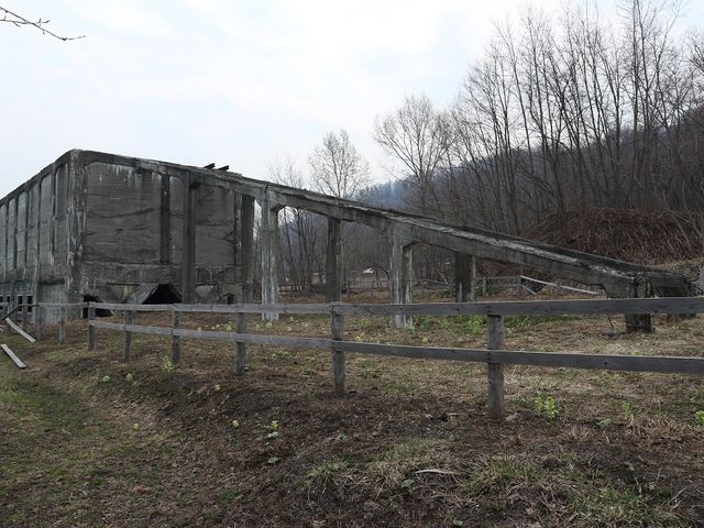 ���ԊԒY�z�̑I�Y��t��_���{��̃Y���R�K�i