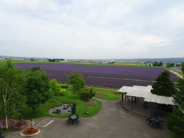 W]䂩̒_t@[xc x_[C[Xg