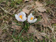 kukȉ㑔ʉwiVRفj̓eʐ^3