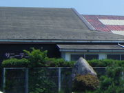 tos̊FTj[ejXNu̓eʐ^1