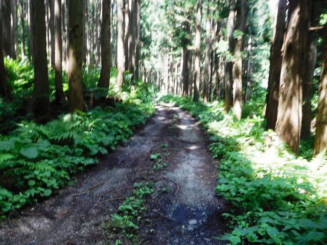 ��t�����ւ͍������ł��B_���X�R�i��t�����j