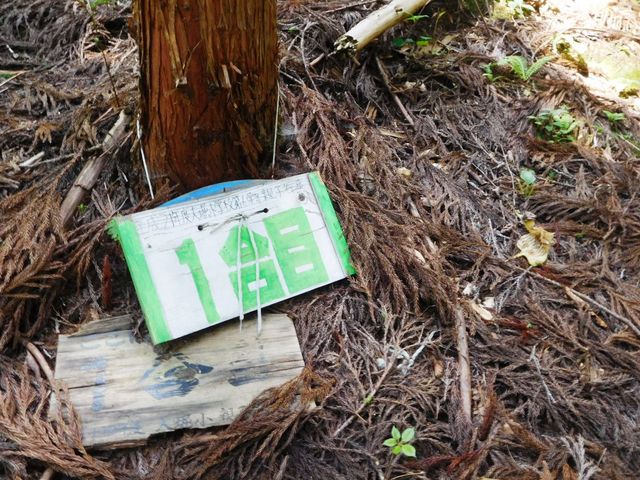 1���ځ`9���ڂ܂Œn���̏��w����������Ŕ�����܂��B_���X�R�i��t�����j