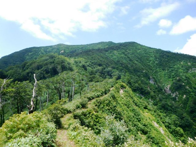 7���ڂ��߂��܂��ƁA��C�Ɏ��E���J���A���X�R���O�Ɍ����܂��B_���X�R�i��t�����j