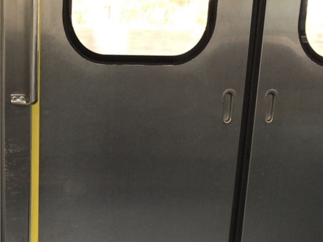 ���}�̎ԓ�_���}���c�w