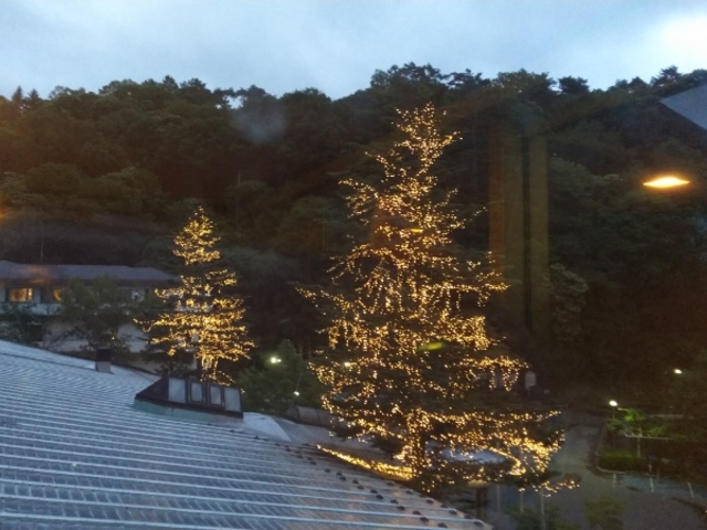 ��̃C���~�l�[�V�����B_���ȃO�����h�z�e����̓�