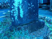 �Ԃ񂽂���̊�������̓��e�ʐ^1