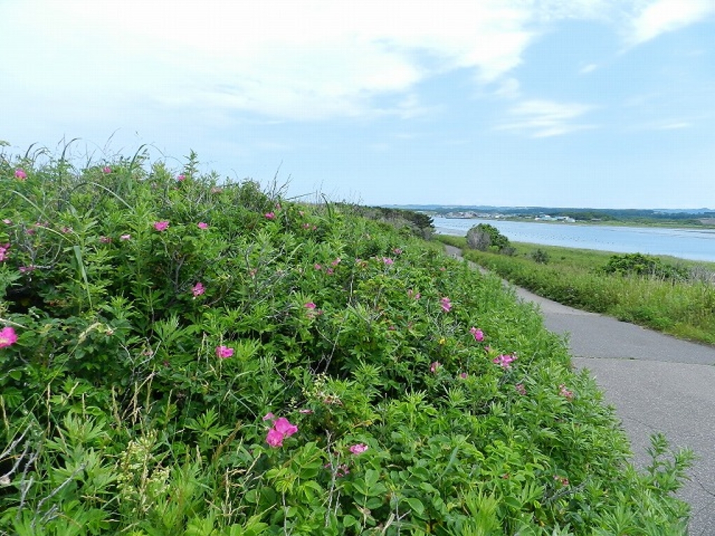 北海道の自然歩道・自然研究路ランキングTOP10（2ページ目） - じゃらんnet