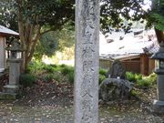 dai-neko̞wGՂ̓eʐ^2