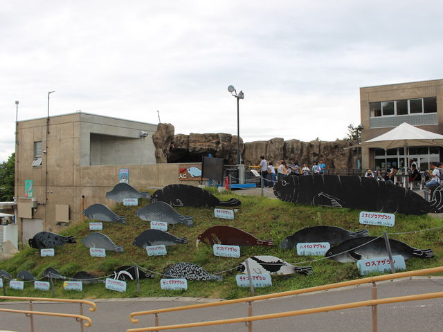 ���ɋ�����ǂ�ȑ傫�������C���[�W���₷���H�v�B_���R������