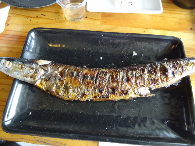 ���������Ă����T���}_���̉w���݃O�����p�[�N�E���ݖ��o�^�[�~�i���E�R���L���G