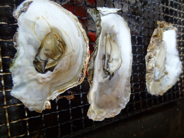 �Ă������y�@���͏��������A���͋Ïk_���̉w���݃O�����p�[�N�E���ݖ��o�^�[�~�i���E�R���L���G