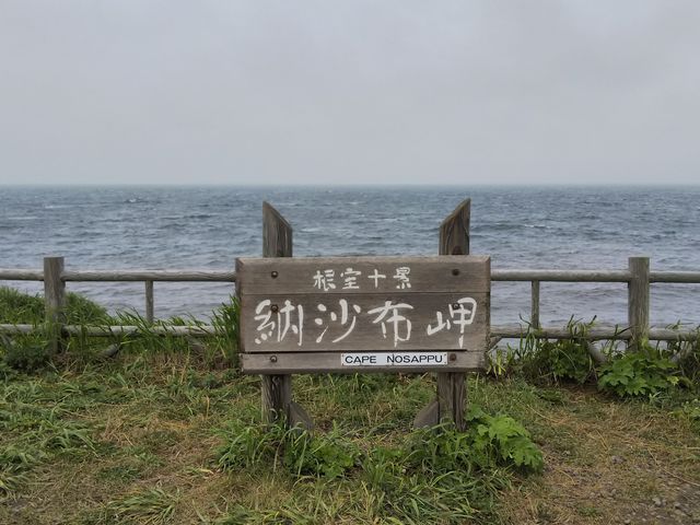 �V�C���ǂ���Ό�����͂��ł�_�[���z��