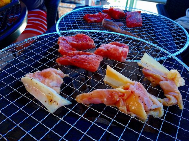 �����͋����E�ؓ��E�₰��E������_�_���_���@�V�[�T�C�h�K�[�f��