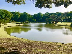 �߂̂�����̘Z�`���@�o���̖��ւ̓��e�ʐ^1