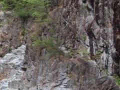 �t���X�s�[�h����̗������̒���ߗ��ւ̓��e�ʐ^1