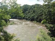 ǂ̍⋕󑠑i莛j̓eʐ^3