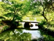 �߂̂�����̘Z�`���@�n�����̓��e�ʐ^2