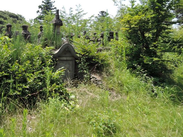 ���a���ꑰ�Y�}�̕�_���a���ꑰ�Y�}�̕�