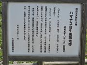 kenkeñn}iXnт̓eʐ^1