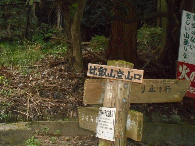 �_���_��X�_��