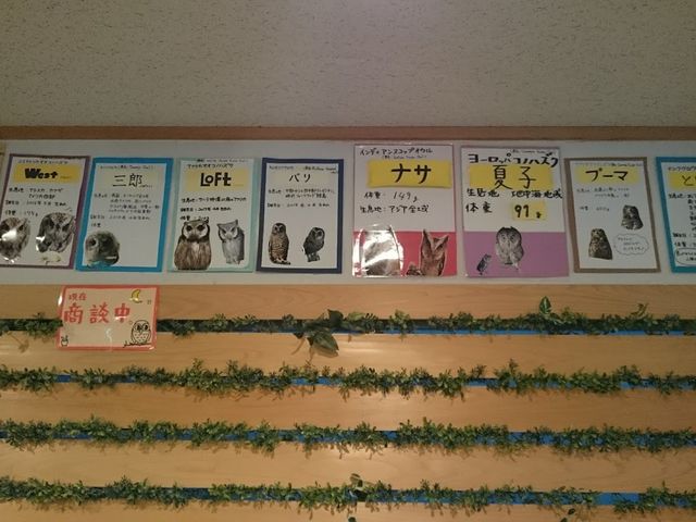 tNE̖Oł_ӂ낤̂XJtFÉhX