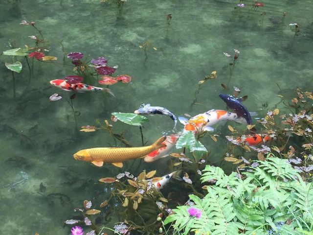 ���l�̒r_���l�̒r�@�򕌌�