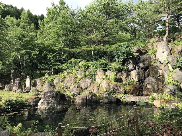 ��܂œ����ʂ��Ă�r_�B�Ŗ�������