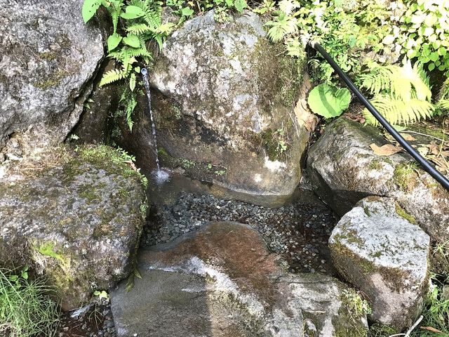 ������߂���������Ă閼���B�₽���I_�B�Ŗ�������