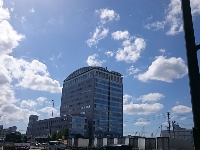 �傫�Ȍ���_�����s�N���s��s����