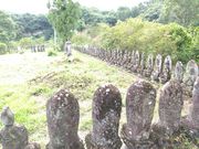 ��݂Ԃ���̏��V��̕S�ω��̓��e�ʐ^1