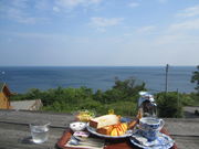 񂶂̃M[JtF҂̋uE̓eʐ^2