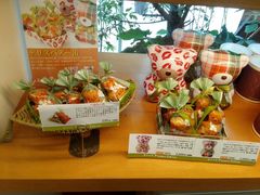 тَ̉qH[tmfXւ̓eʐ^1