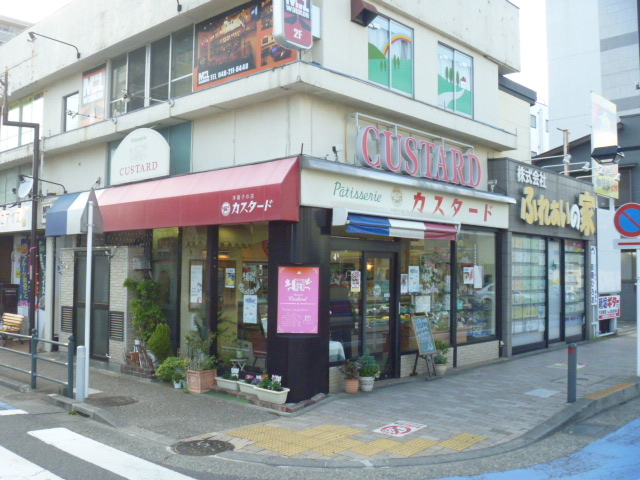 gV[̗mَq̓X JX^[h awOX̓eʐ^1