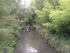 ひーちゃんさんの玉川上水緑道の投稿写真3